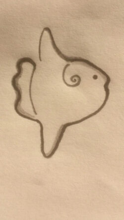 fisk